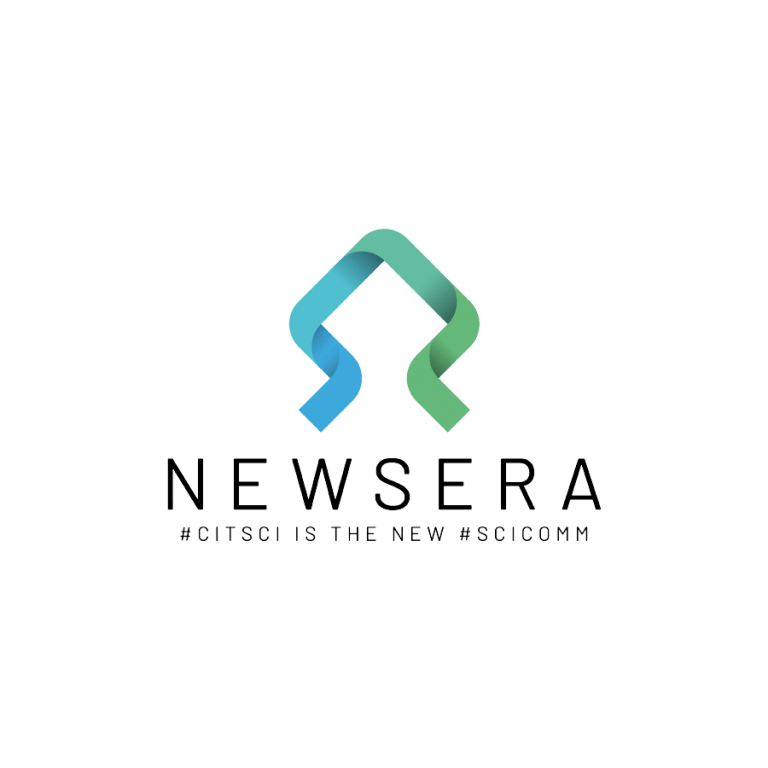 newsera